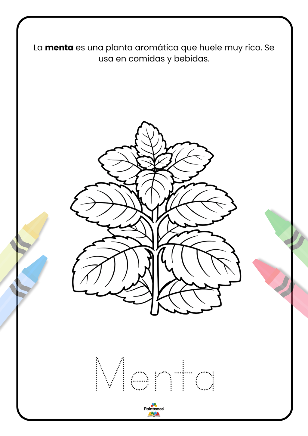 Colorea el Jardín Mágico