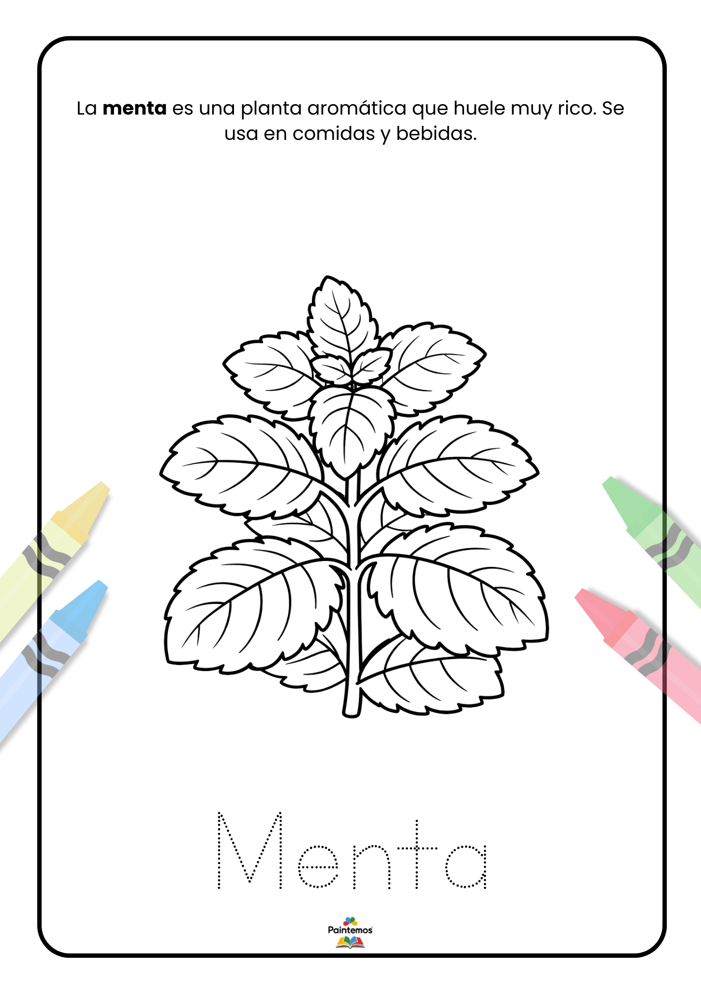 Colorea el Jardín Mágico