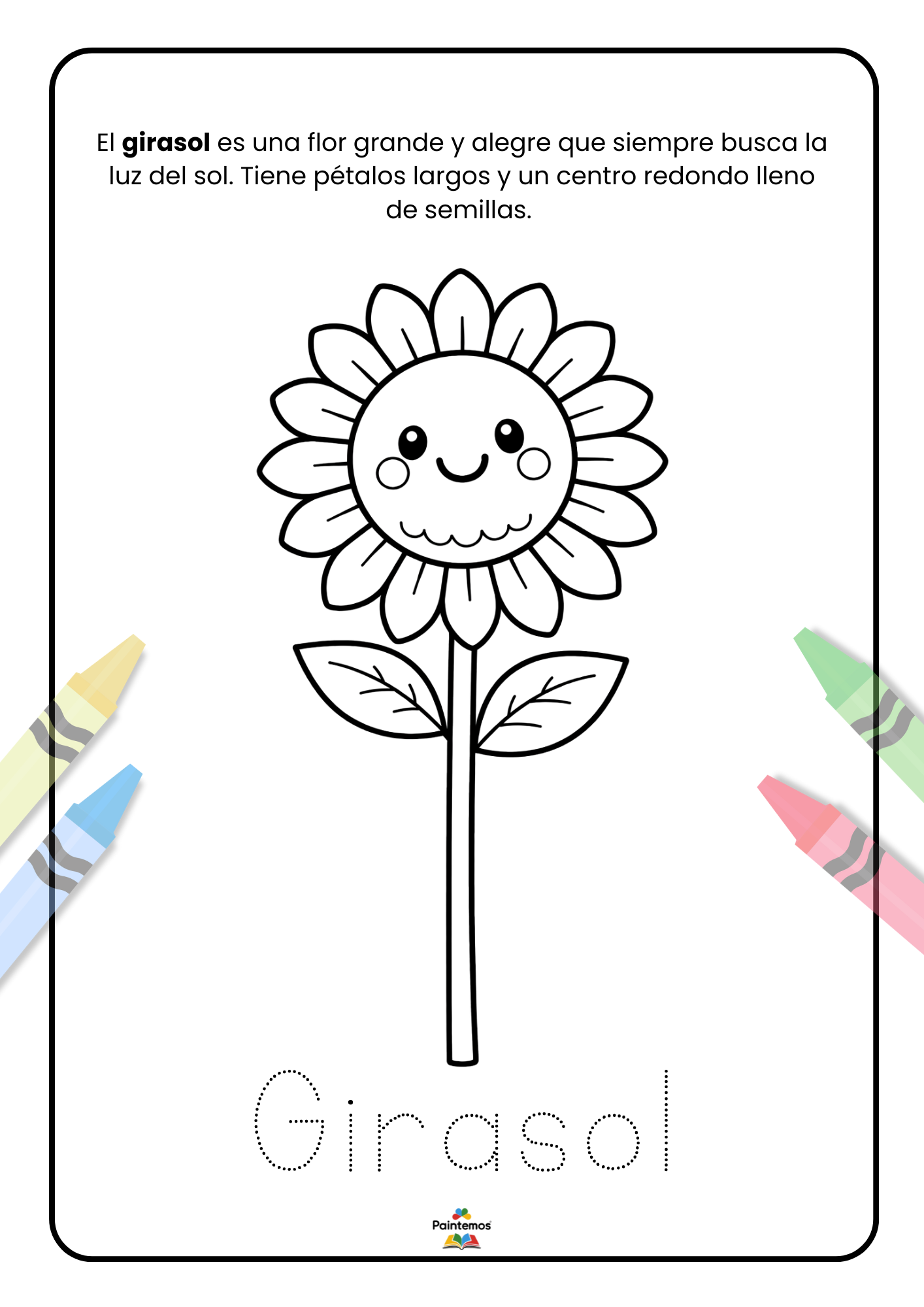 Colorea el Jardín Mágico